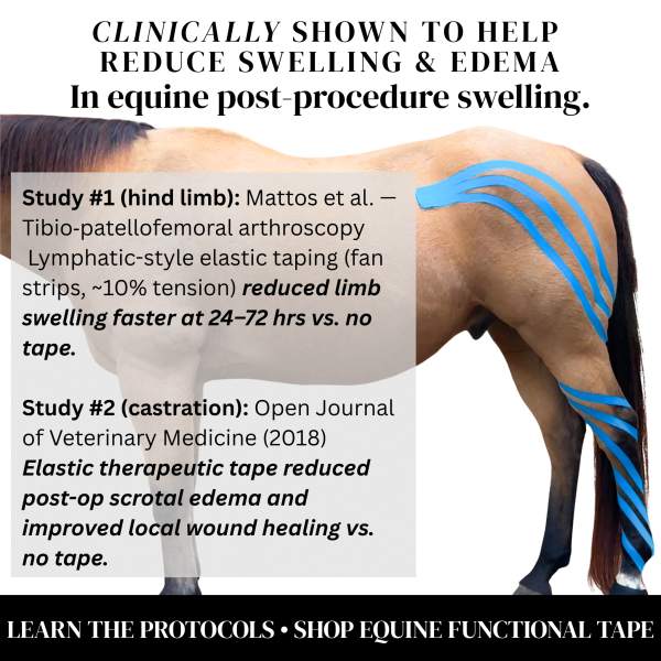 EquiTecs Kinesiology Tape 2-Way 5cmx5m Set (Pink,Royalblau,Schwarz)